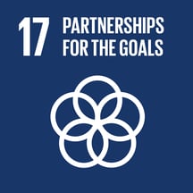Sustainability Goal SAR - Partnerships for the goals-1