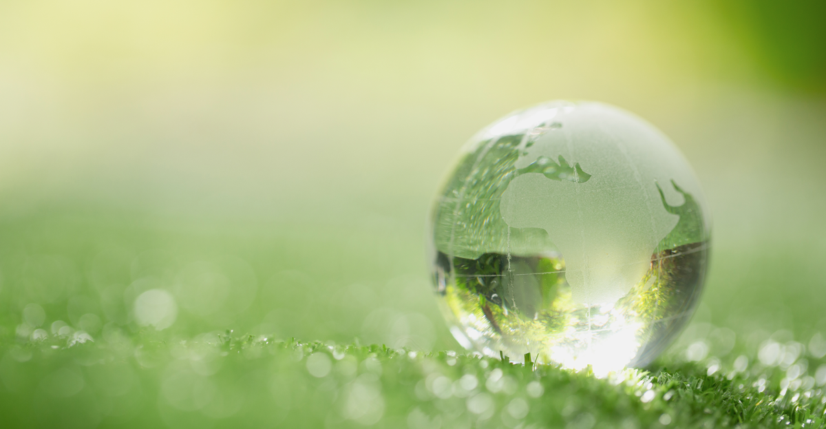 close-up-crystal-globe-resting-grass-forest